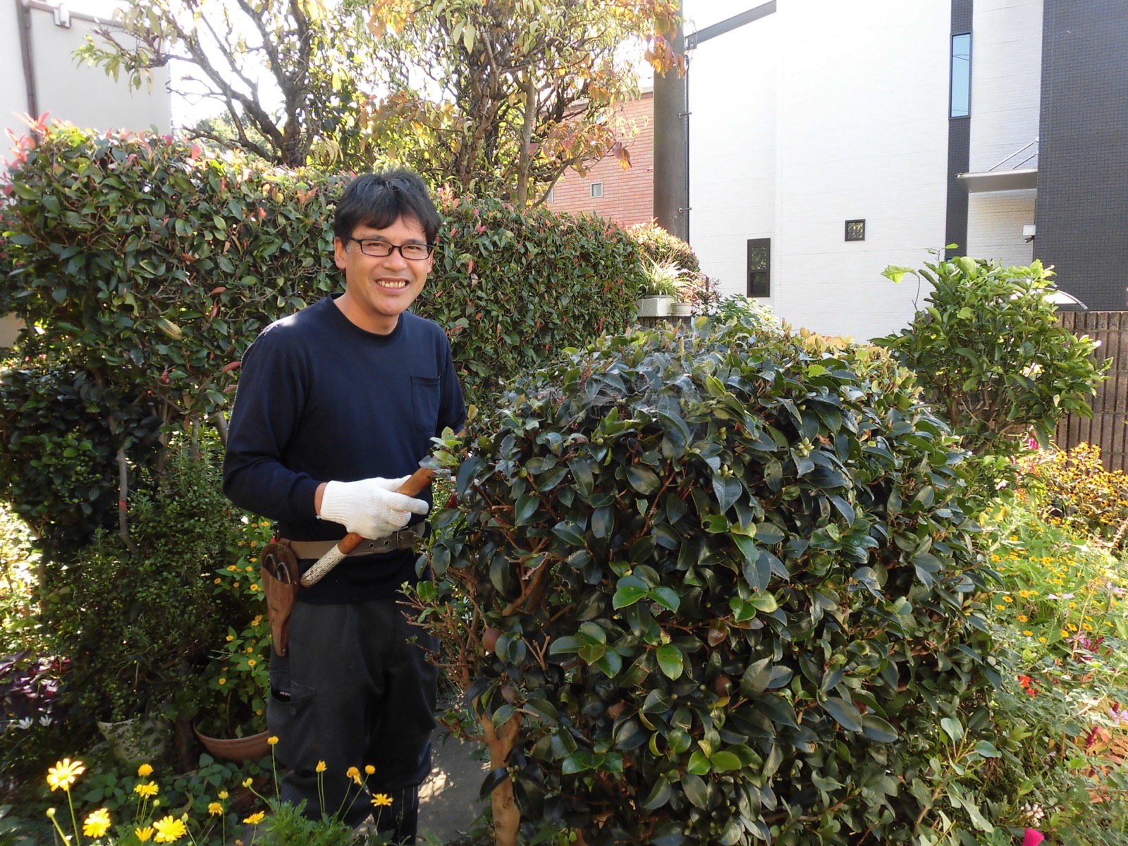 庭木を手入れする玉木園の職人